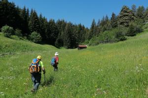 Trekking sulle orme degli Antichi Traci